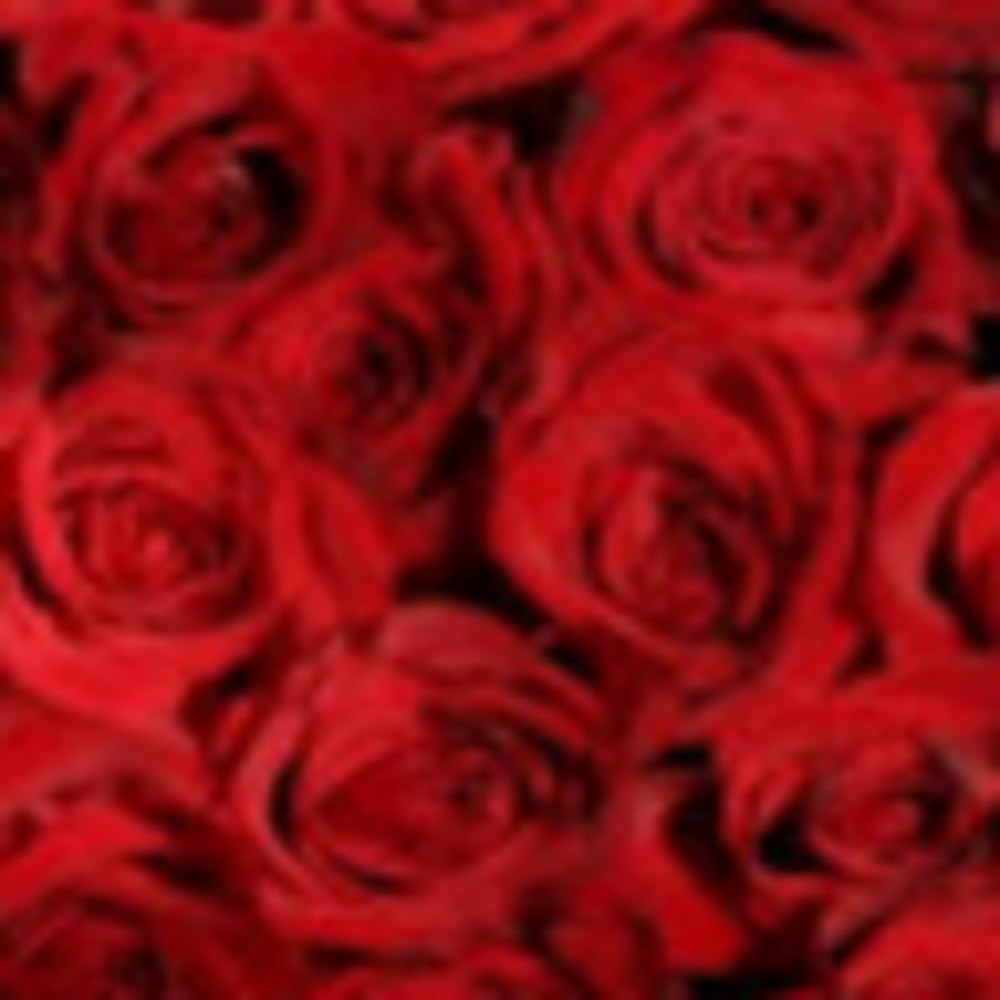 Meet your Posher, Maeve